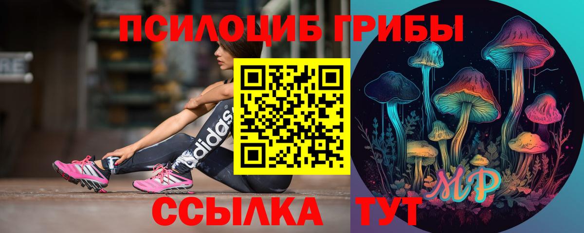 Псилоцибиновые грибы Psilocybine cubensis  Вход с VPN  Алейск  Псилоцибиновые грибы Psilocybe 