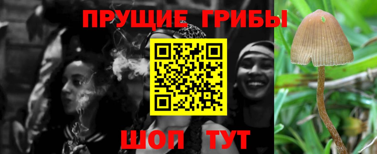 Галлюциногенные грибы мухоморы Алейск